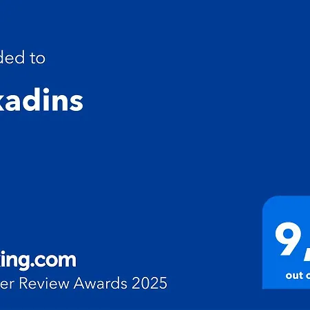 Arkadins 公寓 *